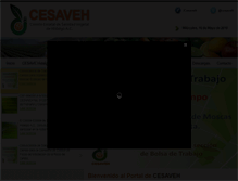 Tablet Screenshot of cesaveh.com